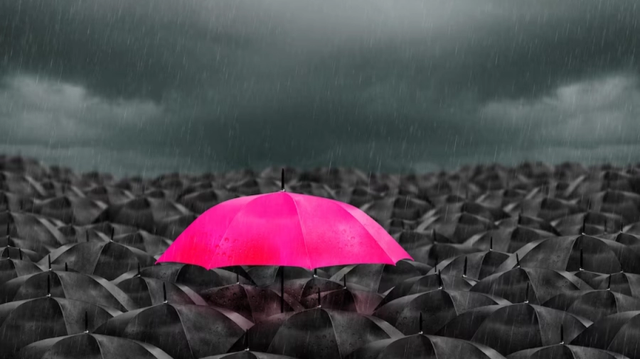 في مشهد الأعمال المزدهم والتنافسي في حياتنا المعاصرة أصبح إمتلاكك لعلامة تجارية جيدة لا يكفي لكي تنجح حقًا وتبرز أمام منافسيك لذلك تحتاج إلى رفع مستوى لعبة علامتك التجارية من جيدة إلى المذهل. العلامة تجارية المذهلة ليست مجرد لوجو لا يُنسى أو شعار نصي جذاب بل إنما يشمل نهجًا استراتيجيًا شاملاً لإنشاء هوية قوية للعلامة التجارية مبني على روابط عاطفية مع جمهورك المستهدف ويقوم على مبدأ تقديم تجارب استثنائية بشكل مستمر.